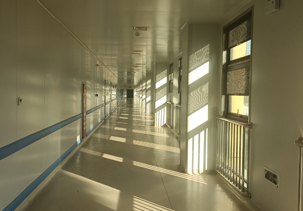 鸡巴骚逼免费视频